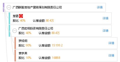 廣西聯(lián)智房地產(chǎn)營銷策劃有限責任公司 專業(yè)賦能，智領房地產(chǎn)營銷新篇章