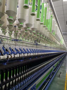 世界最大毛巾廠轉身擁抱互聯網，為何獨選拼多多？